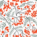 Rowan berry branches and leaves  seamless pattern Royalty Free Stock Photo